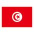 突尼斯U23 突尼斯U23